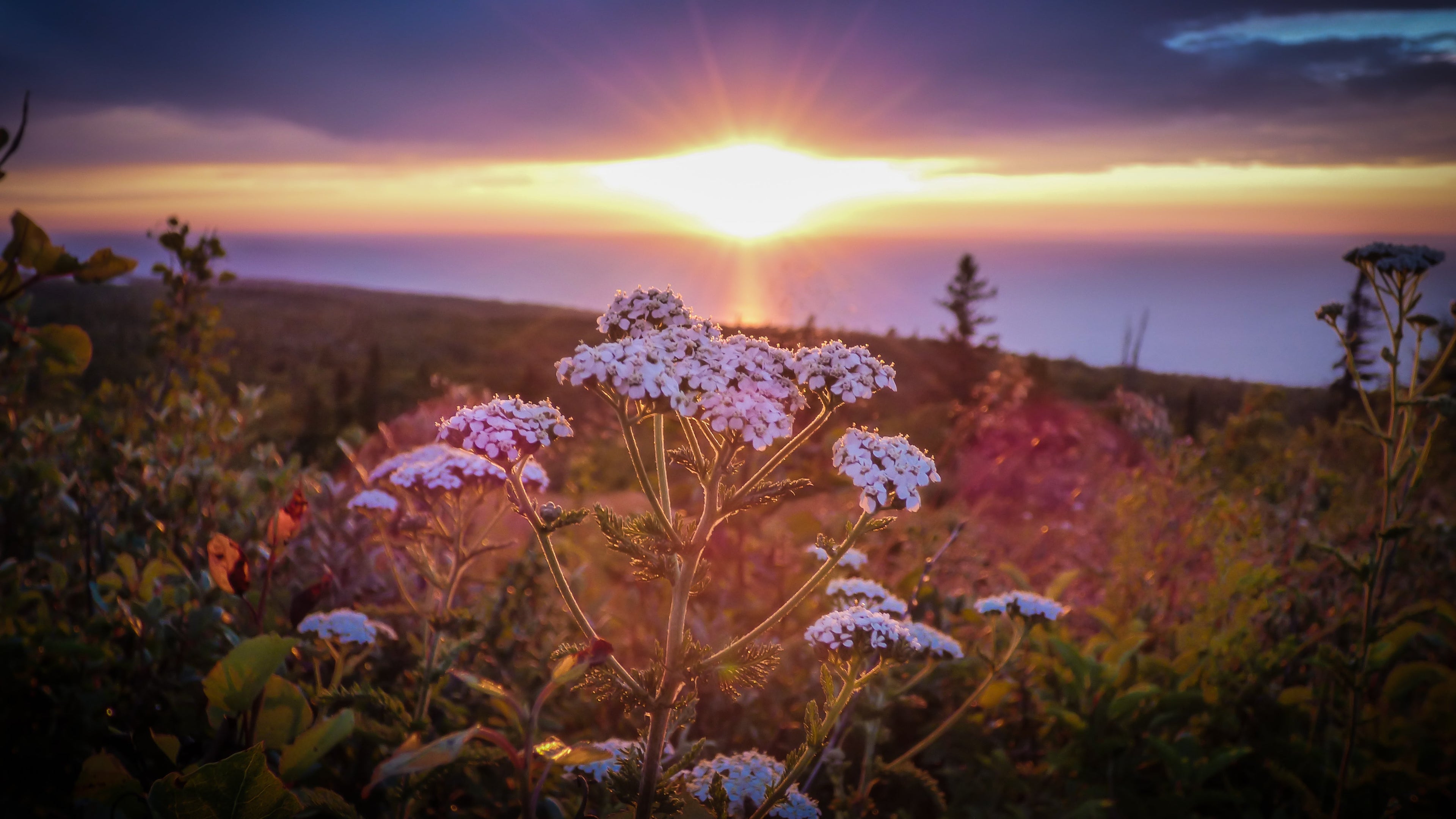 Praise the Lord: God's Mercy