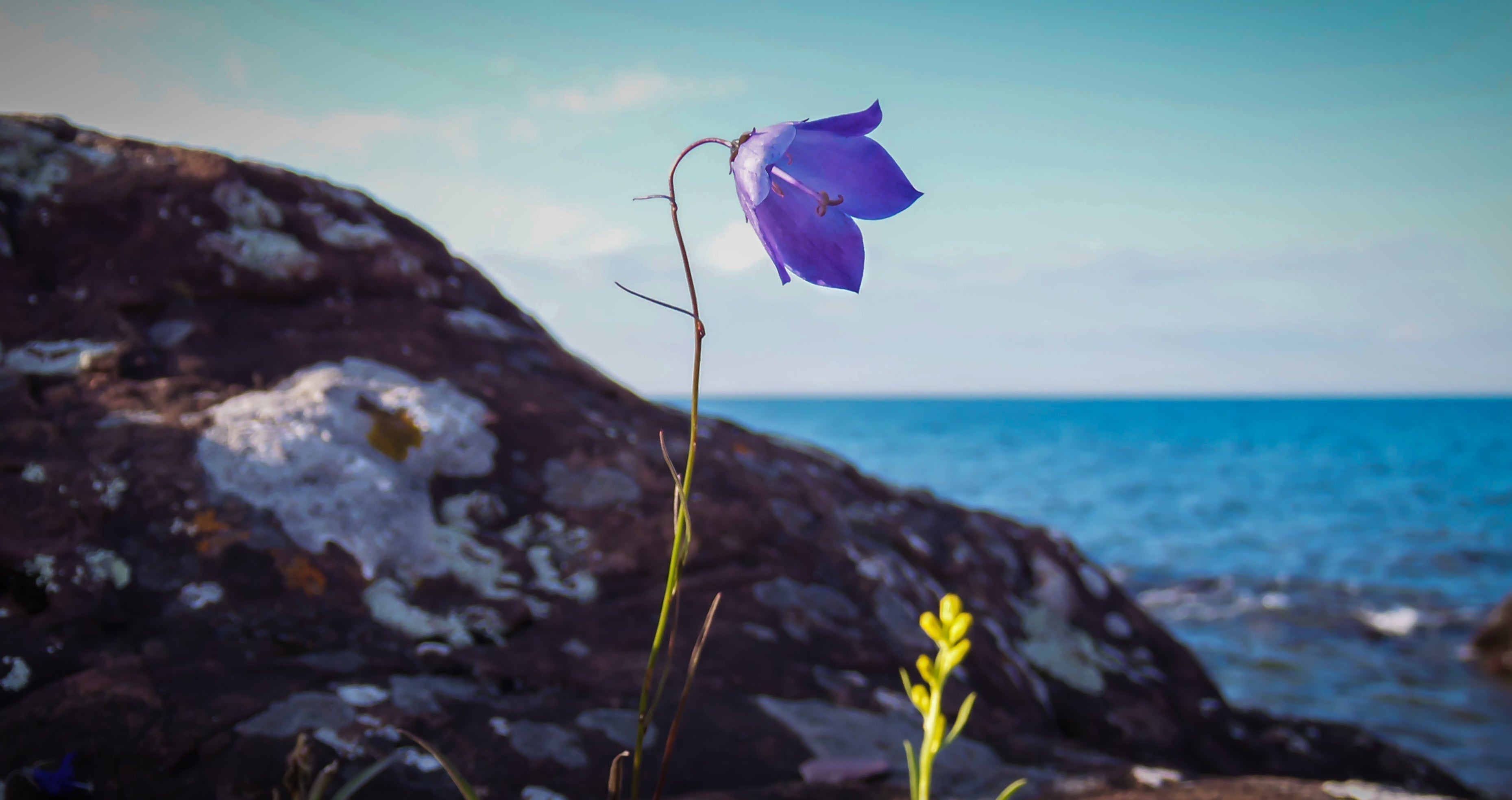 The Beauty Within The Moments